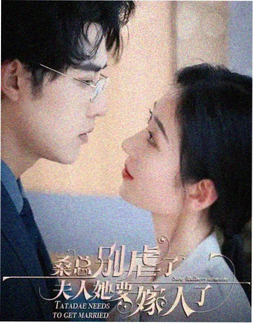 免费的职场成长剧十七楼的风在线观看